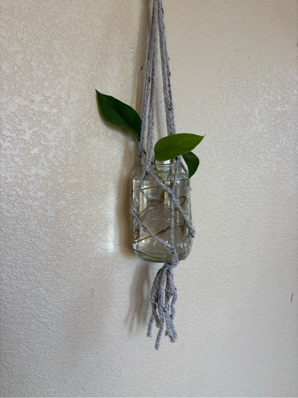Macrame plant hanger with glass jar